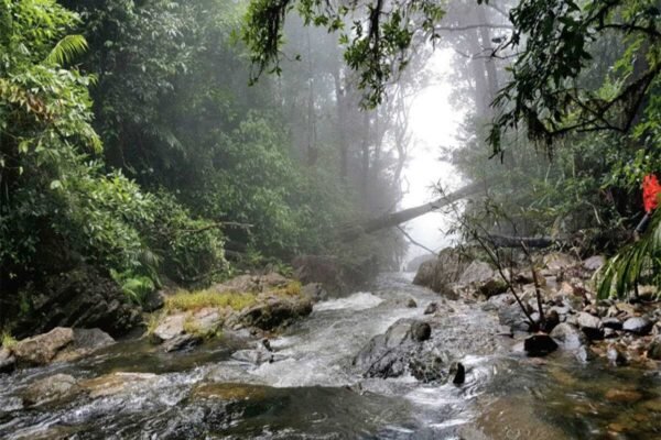 Top Places to Visit Near Sigandur