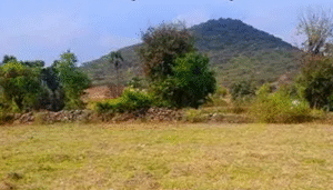 Bhu Naksha Jharkhand