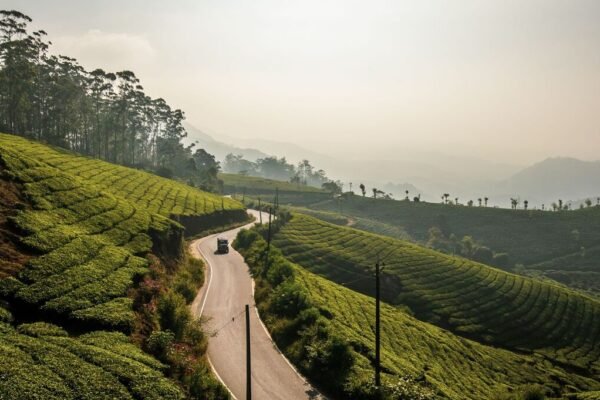 South India Tour Places
