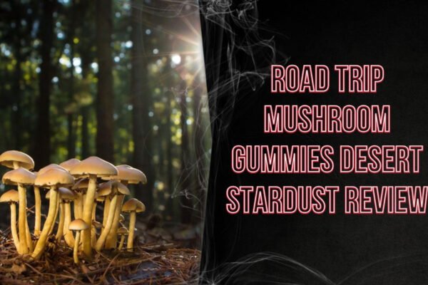 Road Trip Mushroom Gummies – Your Tasty Travel Companion