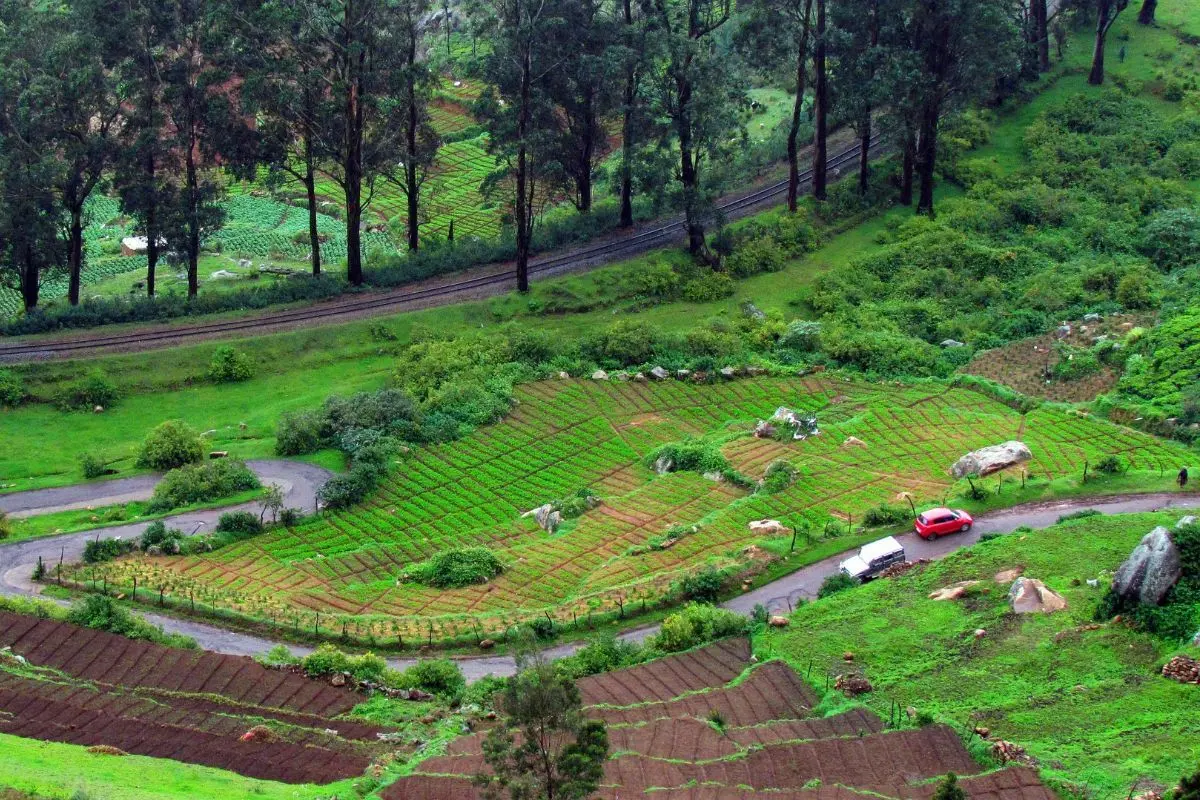 Ooty Destination