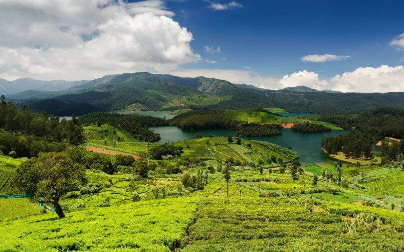 Ooty Destination