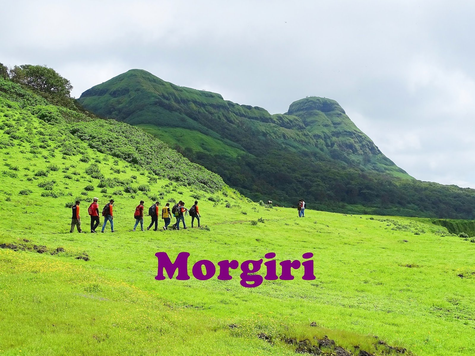 Morgiri