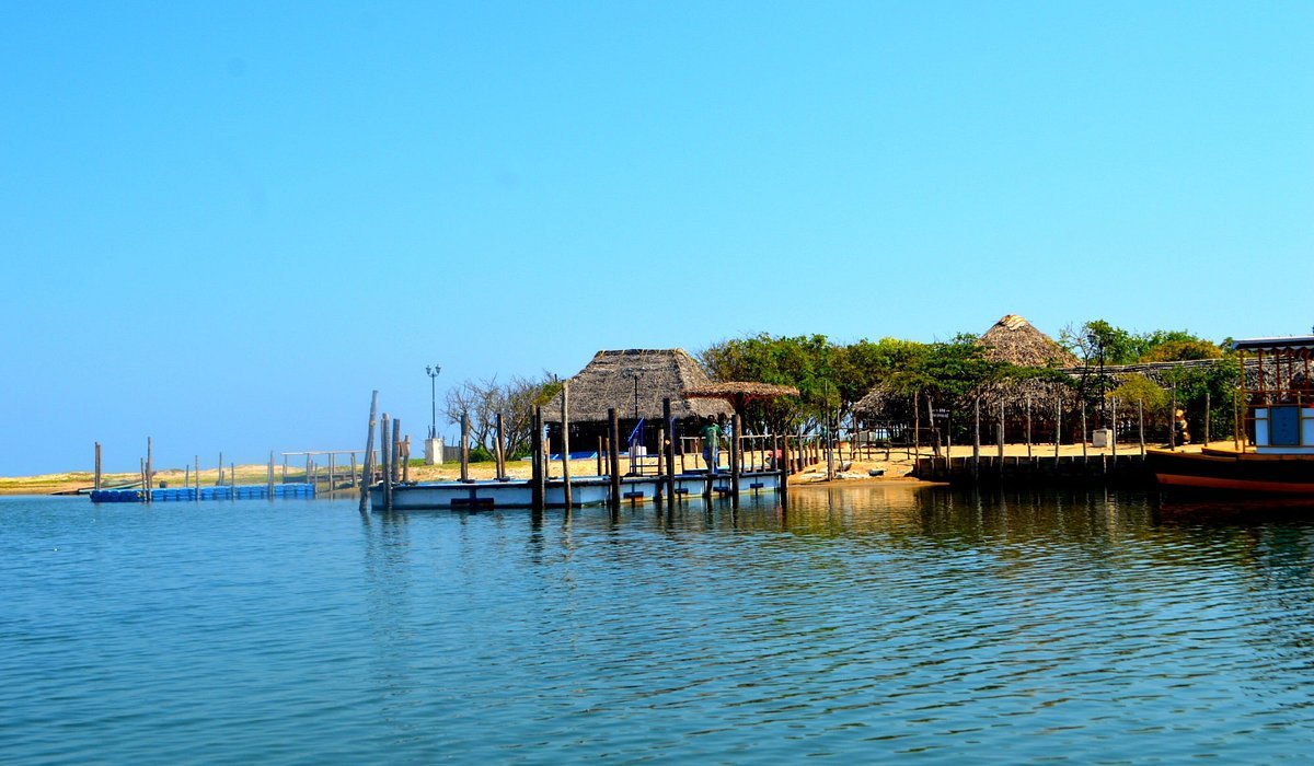 Pondicherry Solo Trip