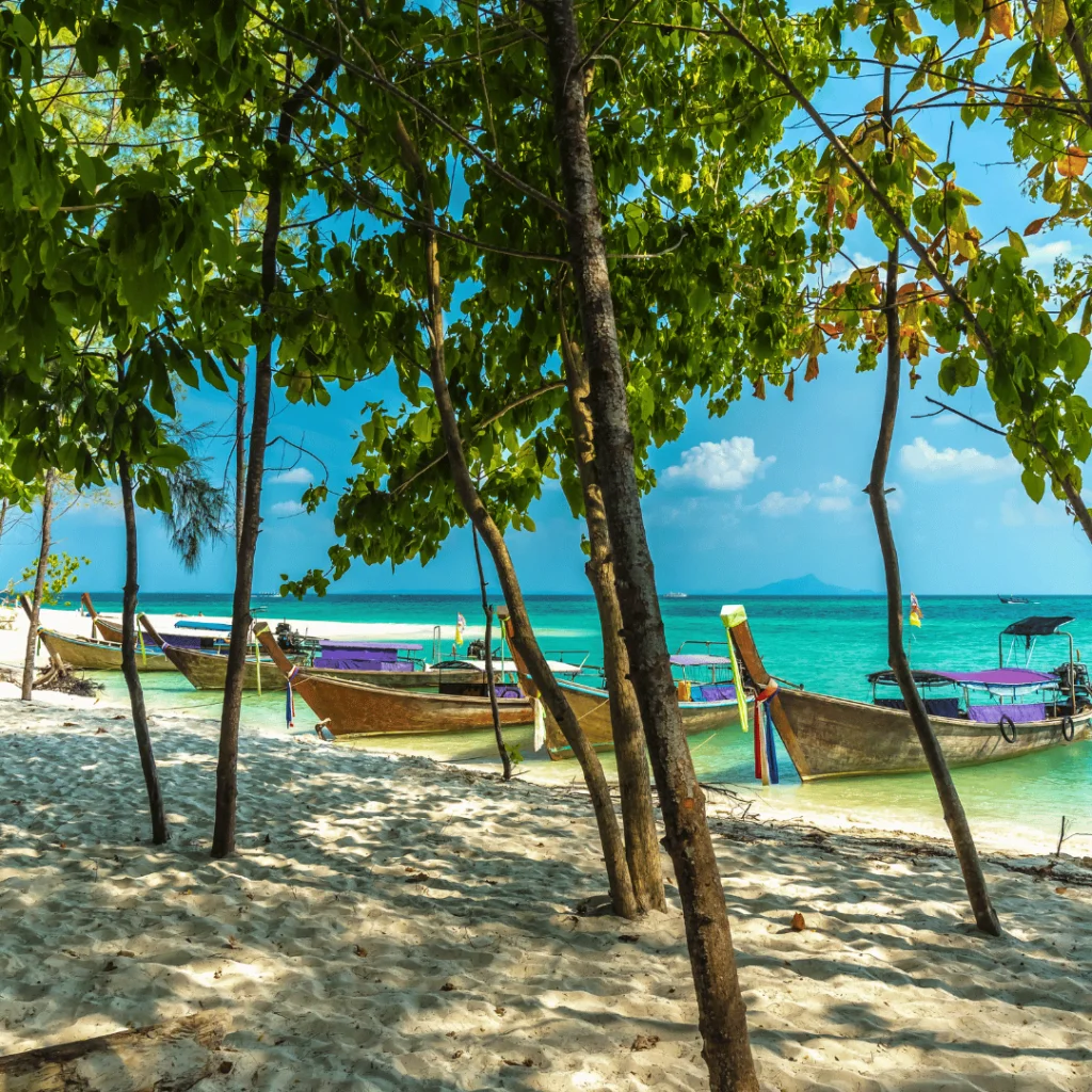 Tours and Travels in Thane 