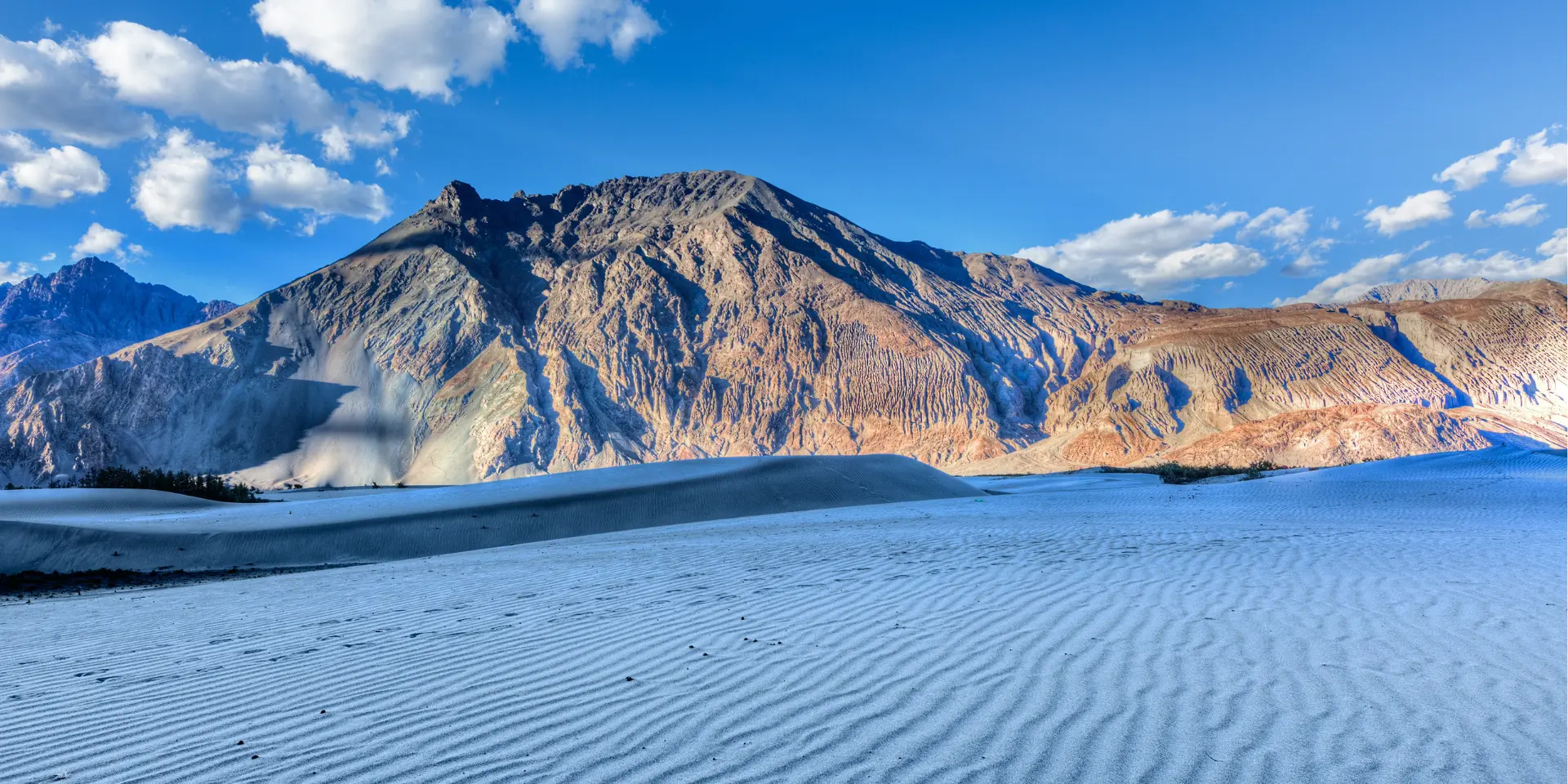 Nubra Valley 