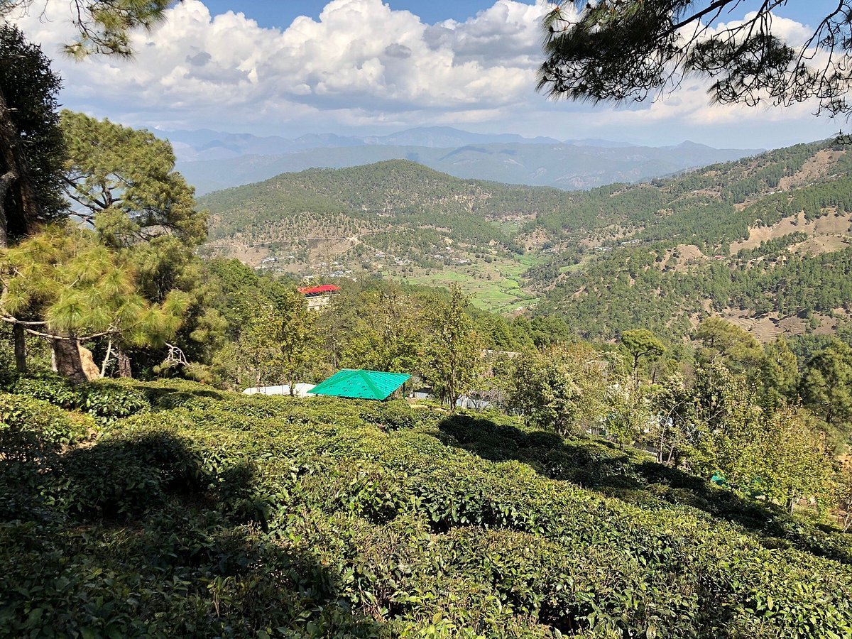 Kausani