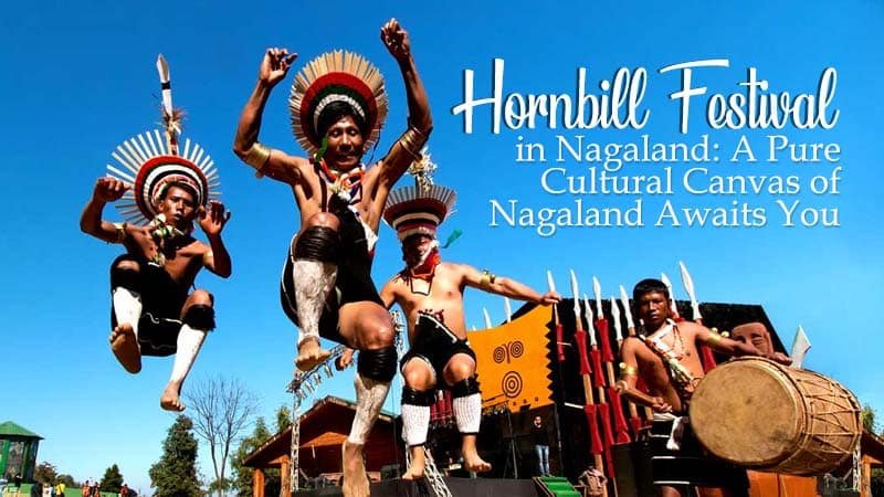 Hornbill Festival Nagaland