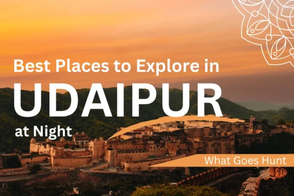 Night Places to Visit in Udaipur