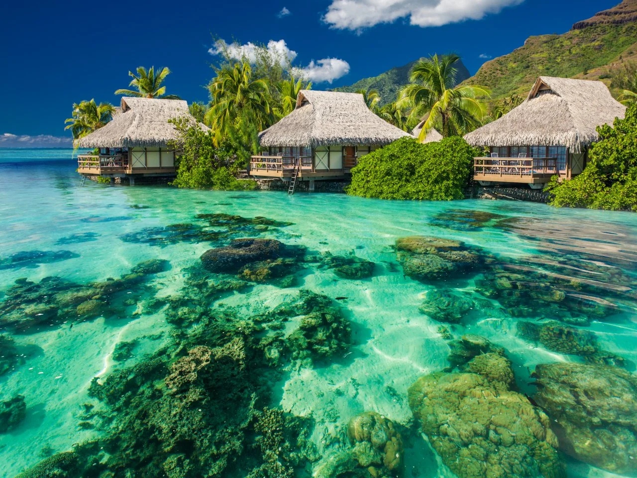 Best Tropical Places to Travel
