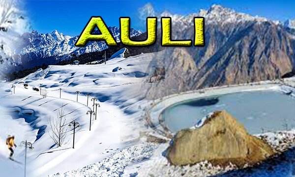 Auli