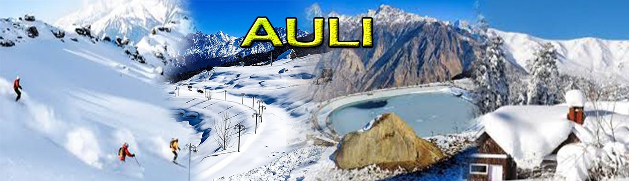 Auli