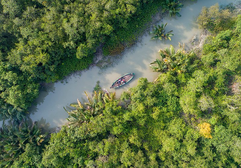 places to visit in Sundarban