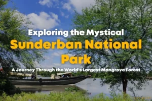 PLACES TO VISIT IN SUNDARBAN