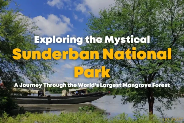 PLACES TO VISIT IN SUNDARBAN