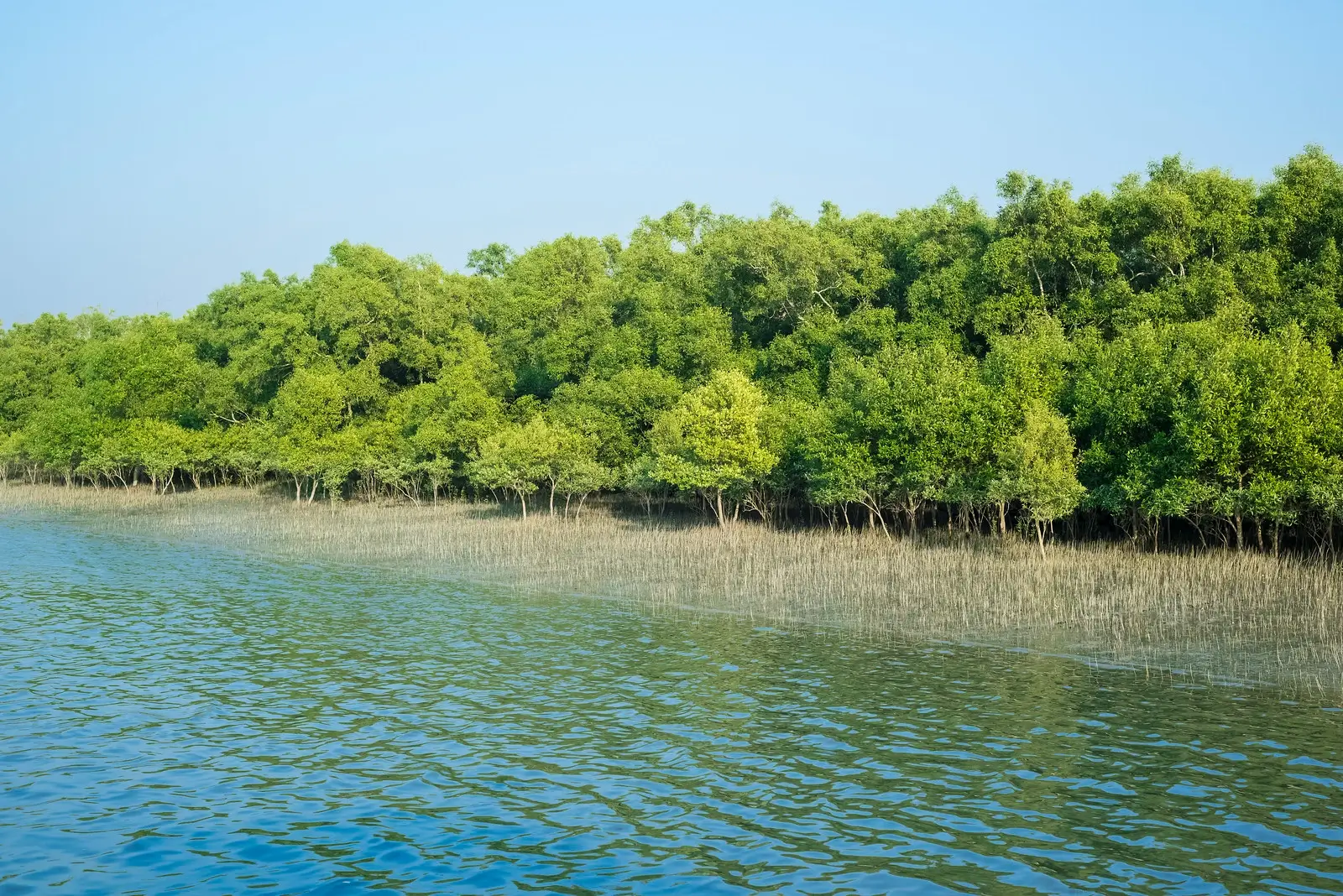 PLACES TO VISIT IN SUNDARBAN