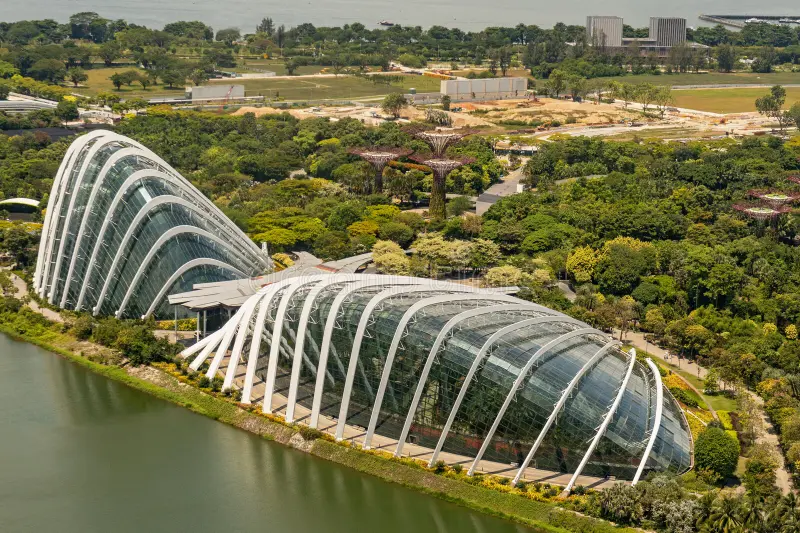 Cloud Forest Singapore
