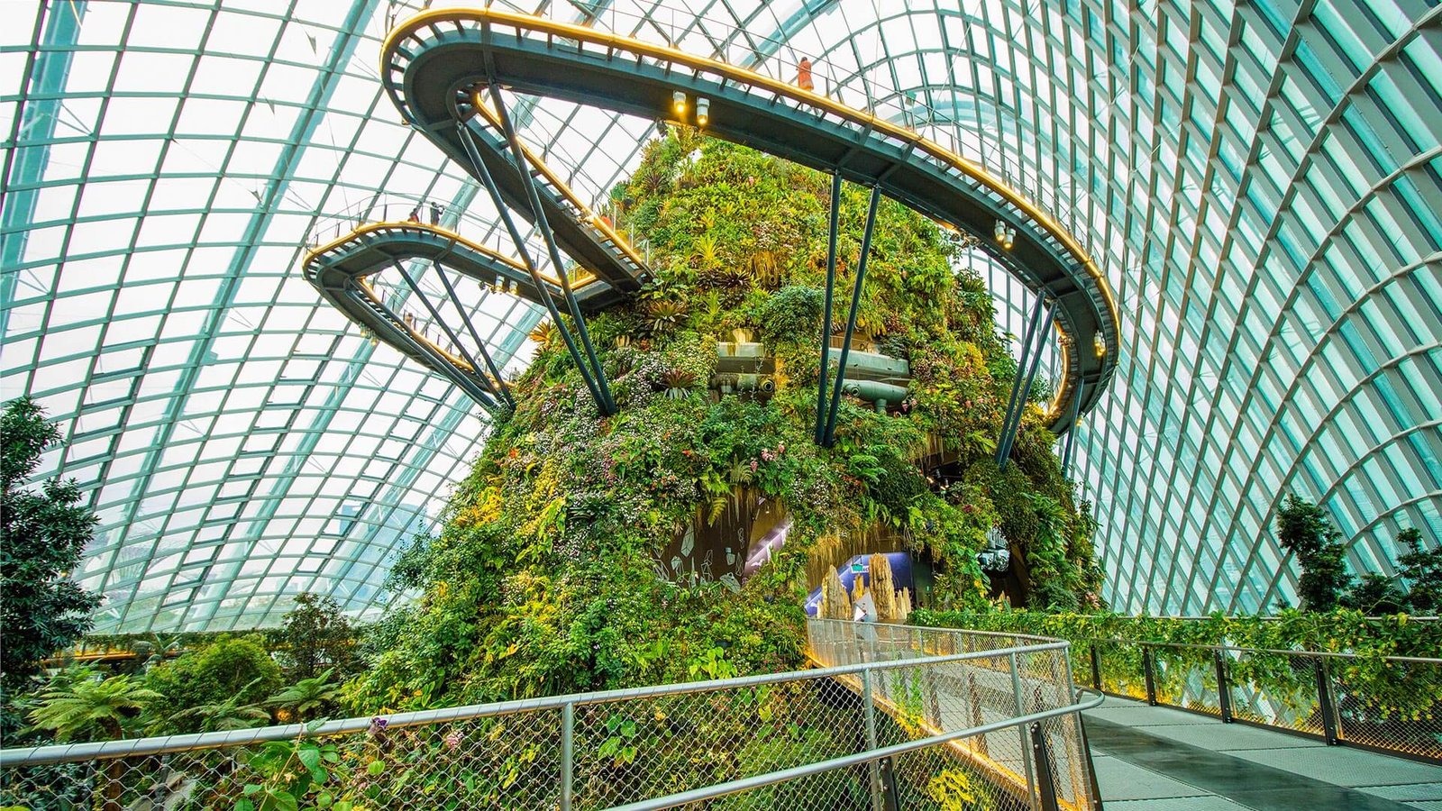 Cloud Forest Singapore