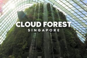 Cloud Forest Singapore