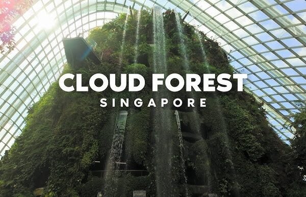 Cloud Forest Singapore