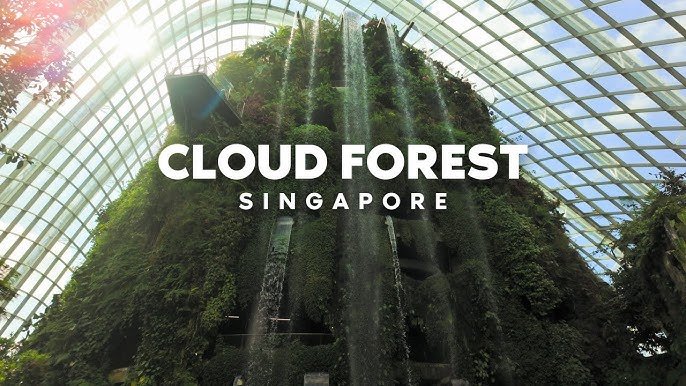 Cloud Forest Singapore