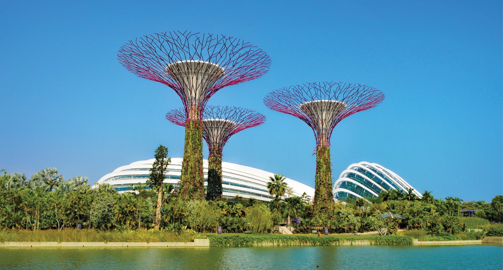 Cloud Forest Singapore