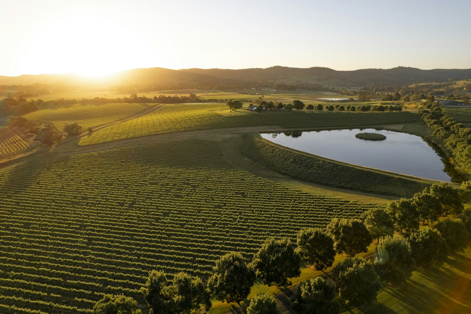 Yarra Valley 