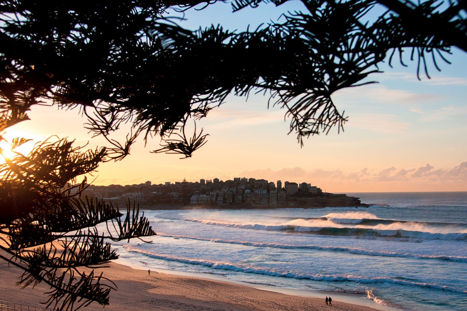 Bondi Beach 