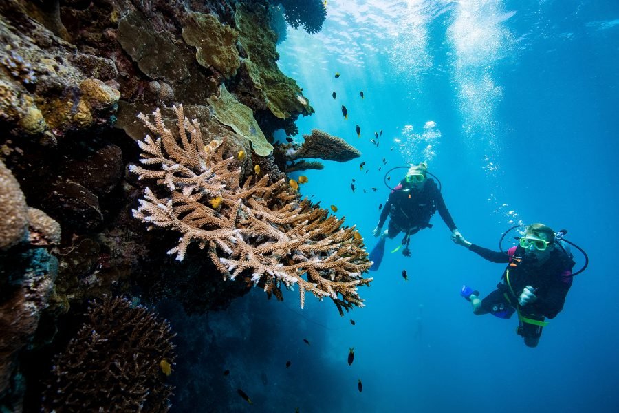 Great Barrier Reef 