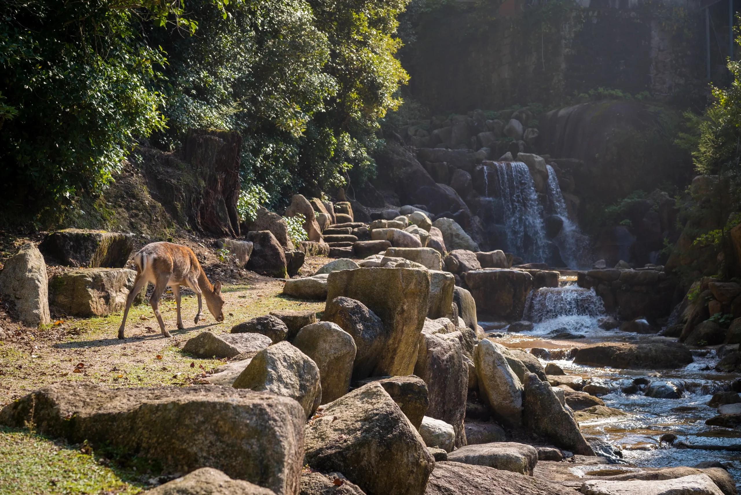 Barehipani Falls, Odisha