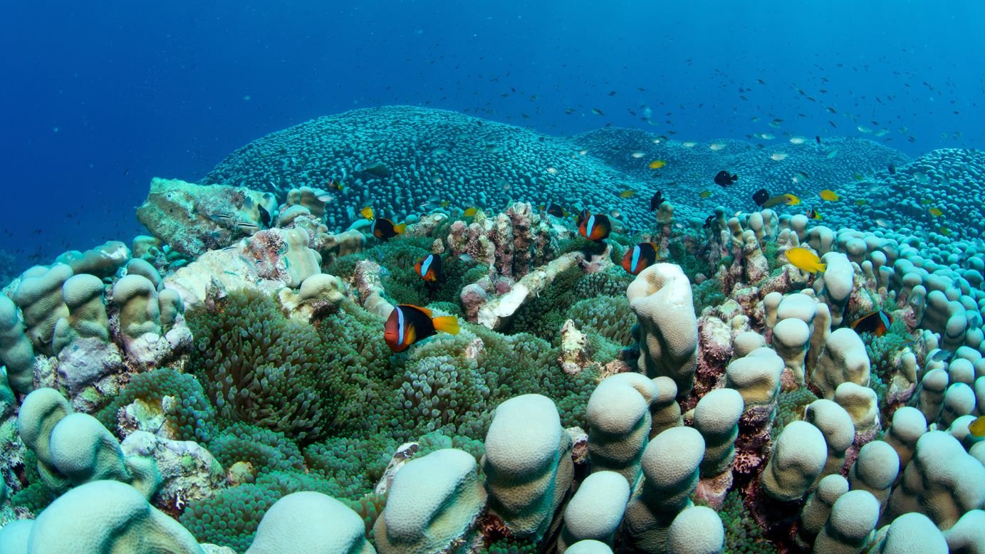 Great Barrier Reef 