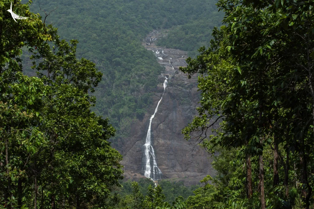 Barehipani Falls, Odisha