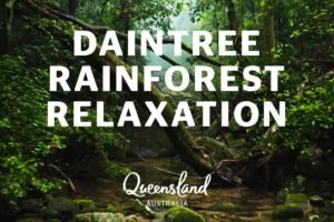 Daintree Rainforest