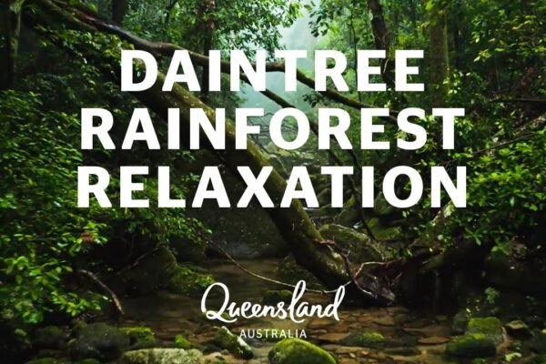 Daintree Rainforest