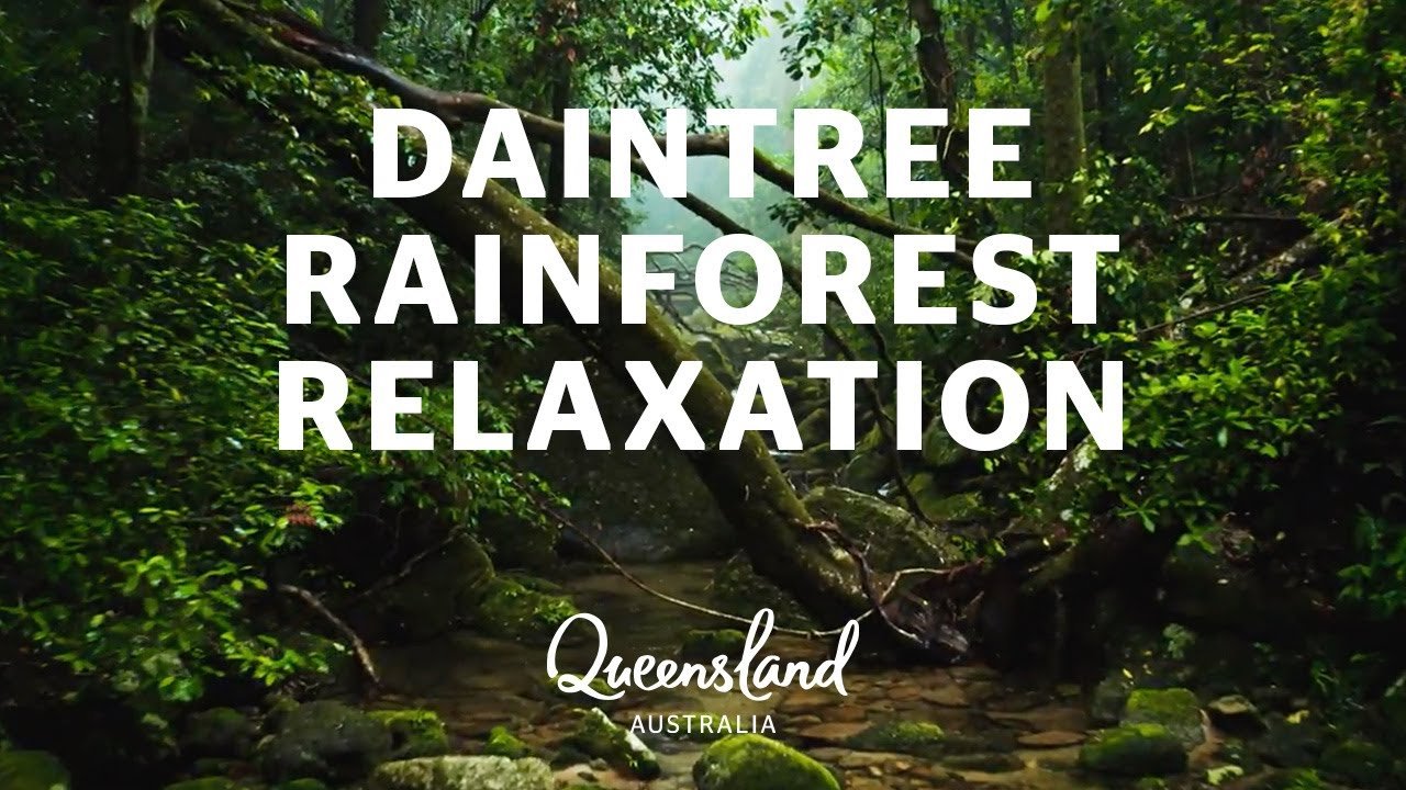 Daintree Rainforest