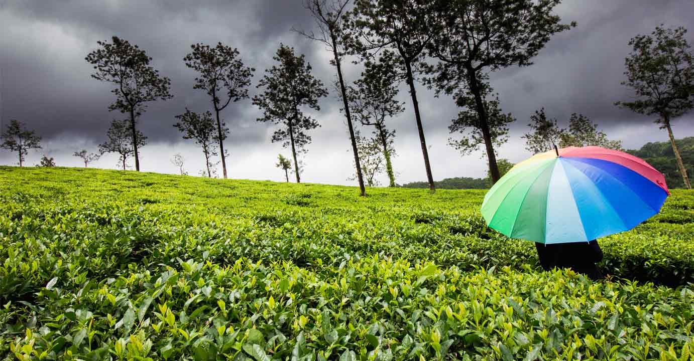 Monsoon Travel Places in India 