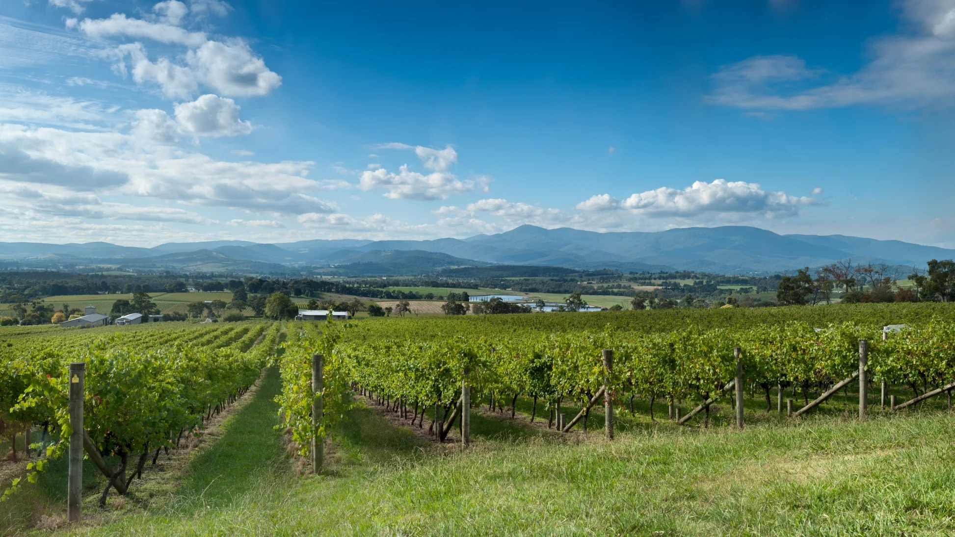 Yarra Valley 