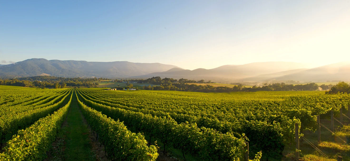 Yarra Valley