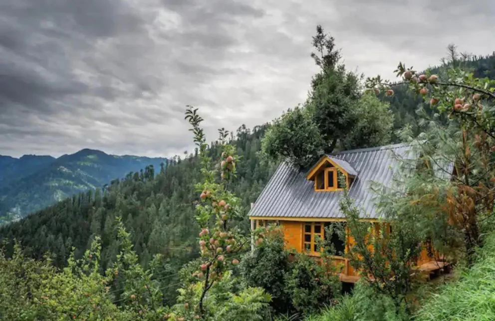 Places to Visit in Jibhi