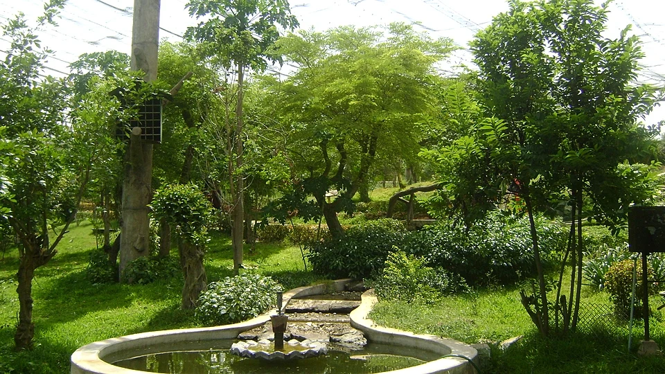 Arignar Anna Zoological Park