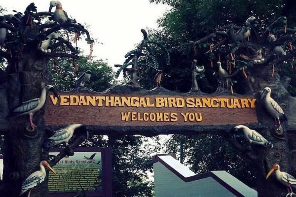 Vedanthangal Bird Sanctuary