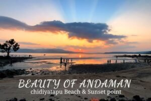 Chidiya Tapu