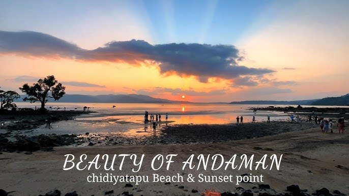 Chidiya Tapu