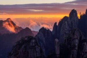 Yellow Mountain India