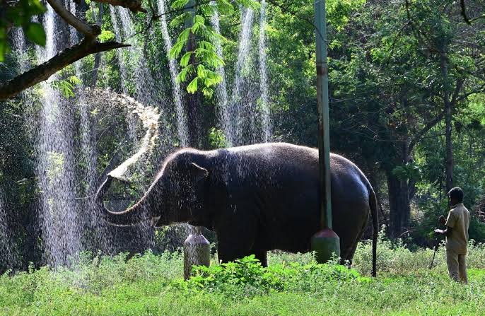 Arignar Anna Zoological Park