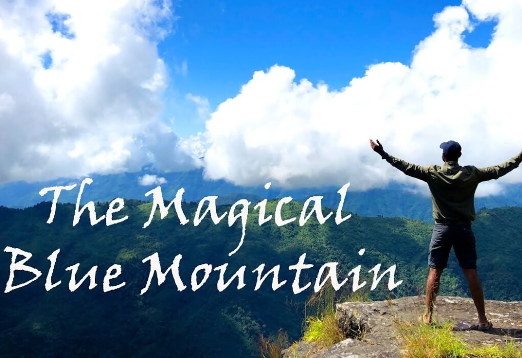 Blue Mountain