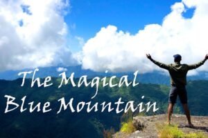 Blue Mountain