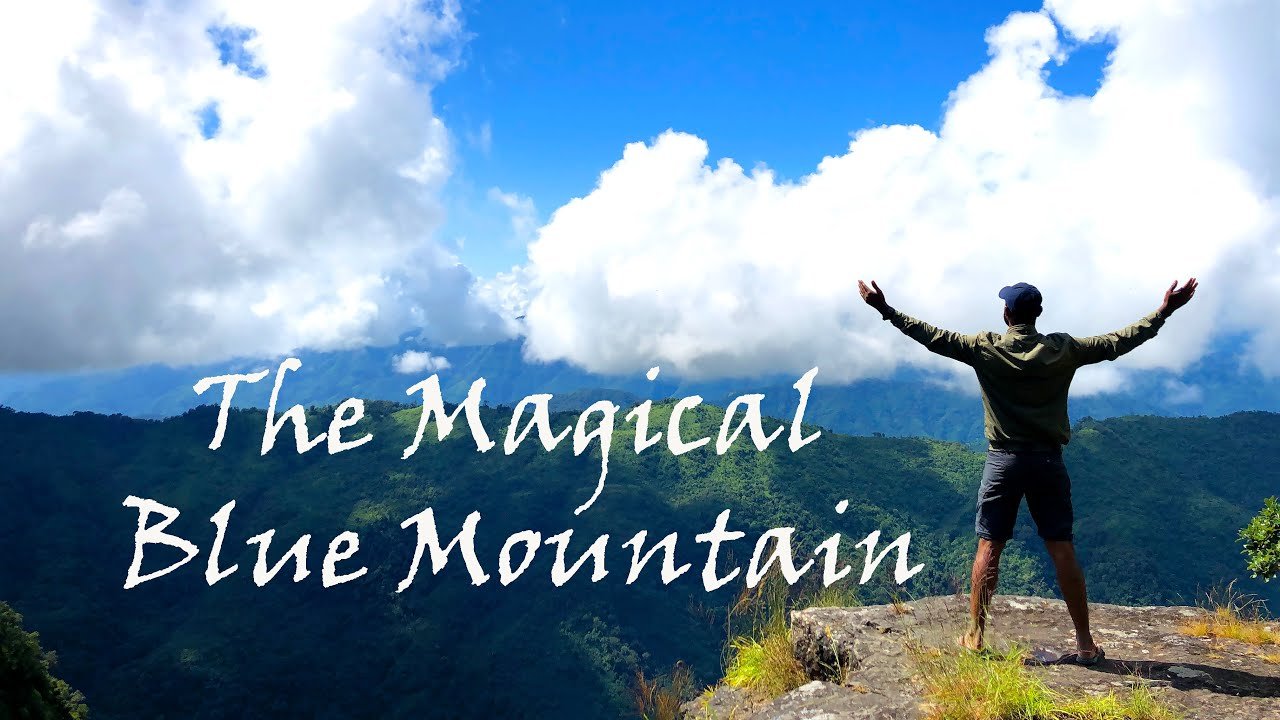 Blue Mountain