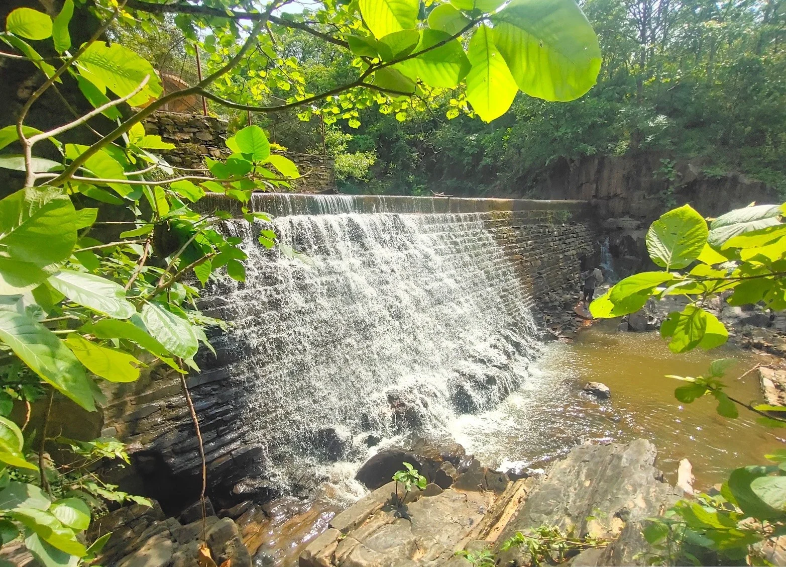 Hathinala Park Sonbhadra