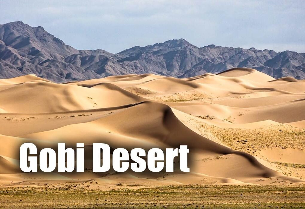 Gobi Desert